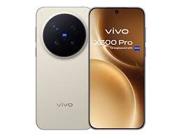 Vivo X300 Pro
