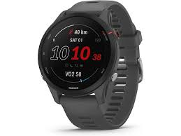 Garmin Forerunner 255